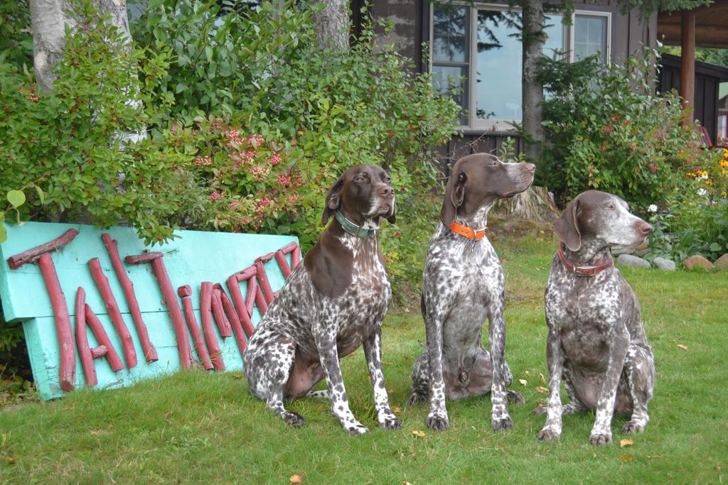 Tall Timber Lodge Pittsburg Bagian luar foto